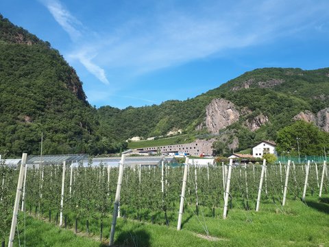 Centro di sperimentazione e scuola professionale, Laimburg