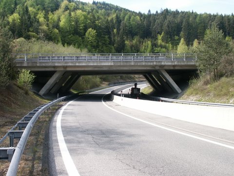 Asfinag bridge inspections 2014