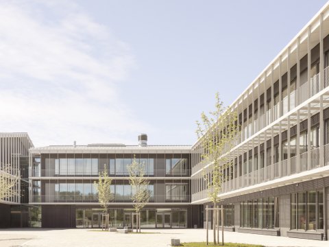 Neubau Realschule