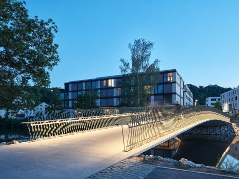 Herzog bridge
